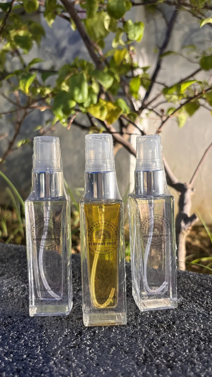 AOG Perfume Inspired by Selena Gomez (30ml)