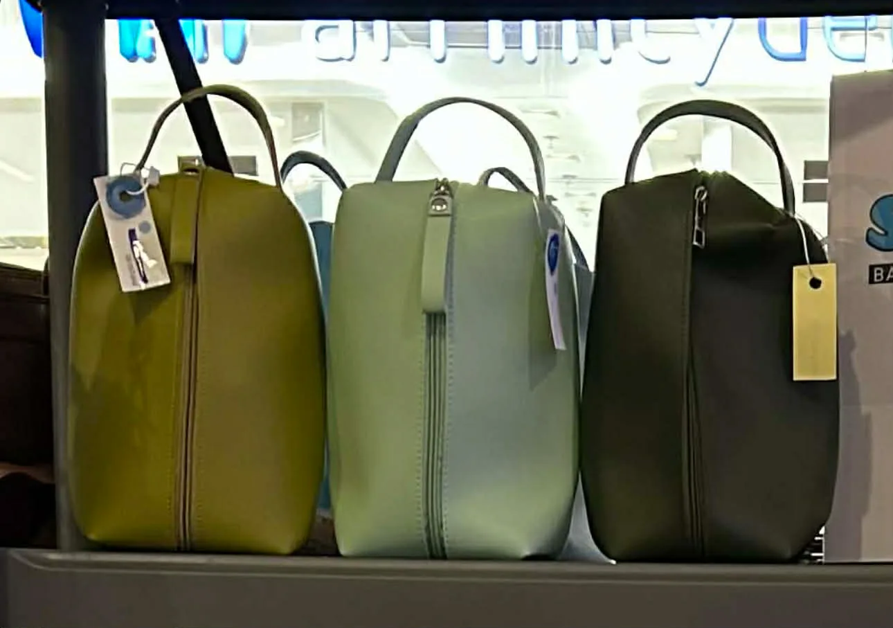 Shelilah Vanity Bag