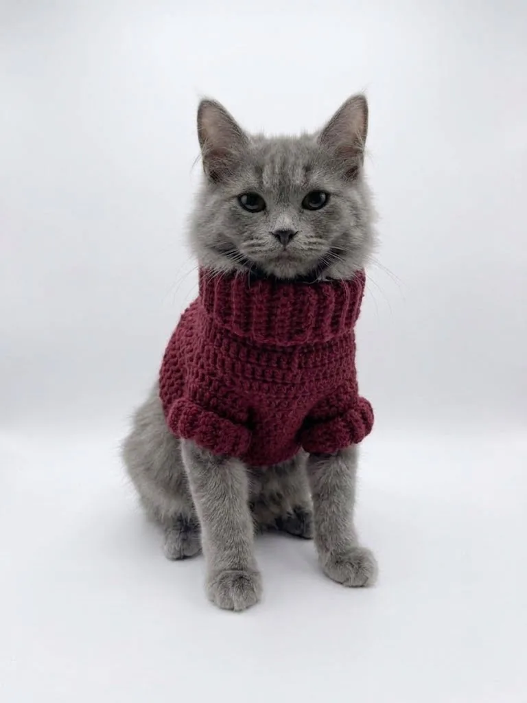 Crochet Cat Sweater
