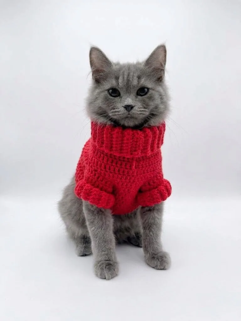 Crochet Cat Sweater